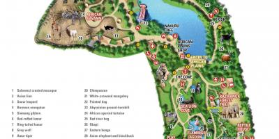 Карта Даблински зоо